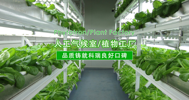 2-http://www.gqcn.site/uploads/190724/1-1ZH416094V41.jpg